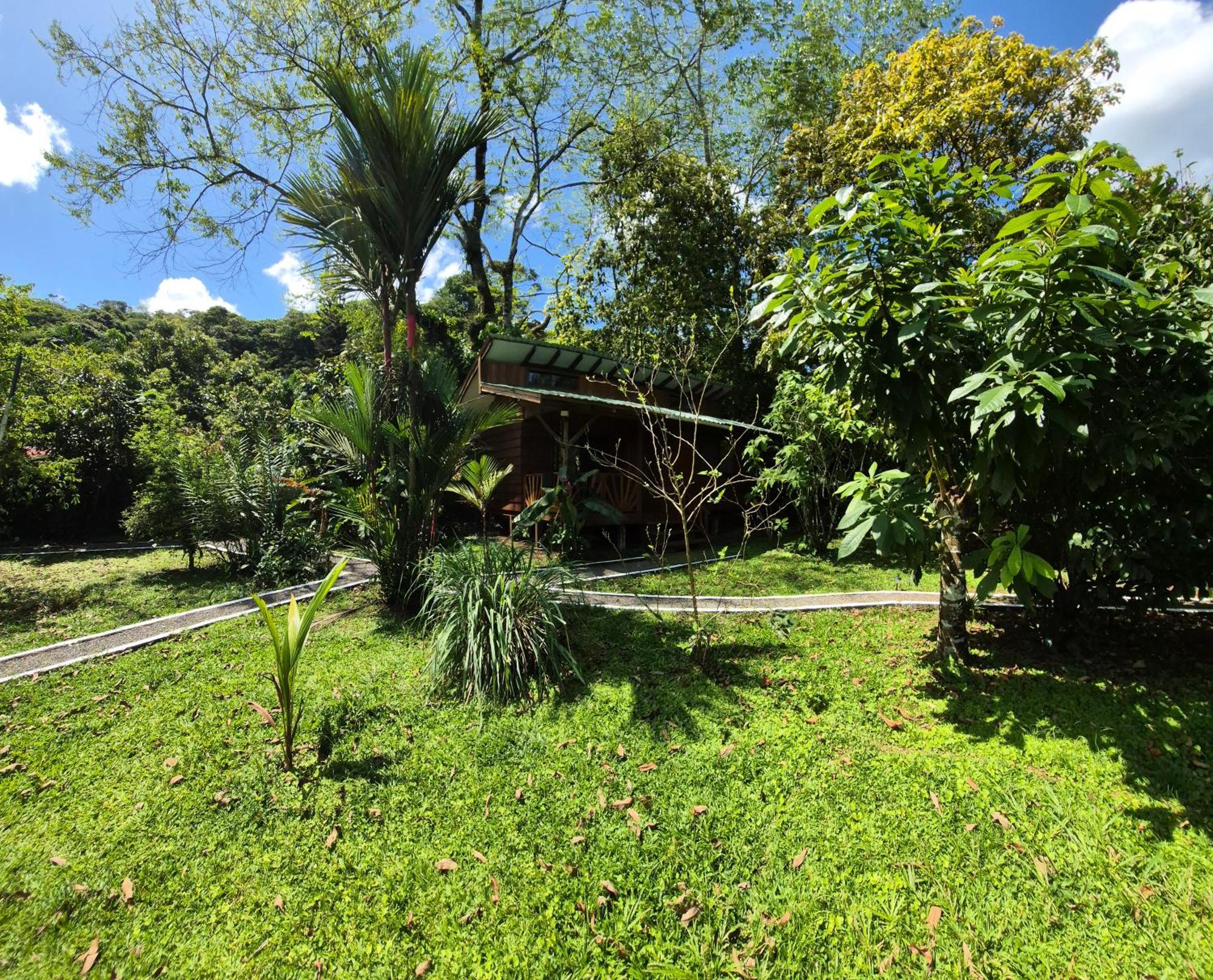 Centro Ananda Bed and Breakfast Guápiles Buitenkant foto