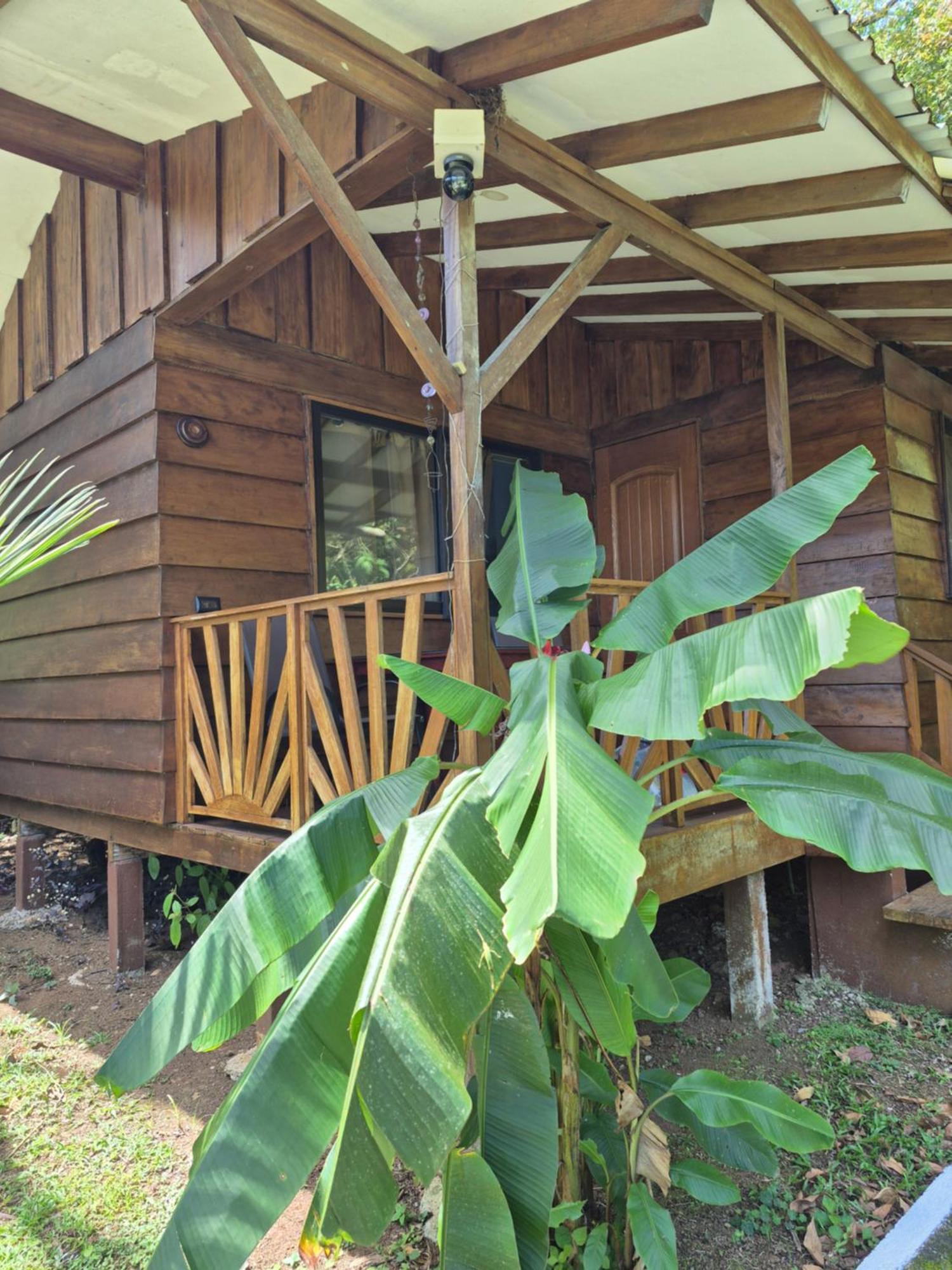 Centro Ananda Bed and Breakfast Guápiles Buitenkant foto