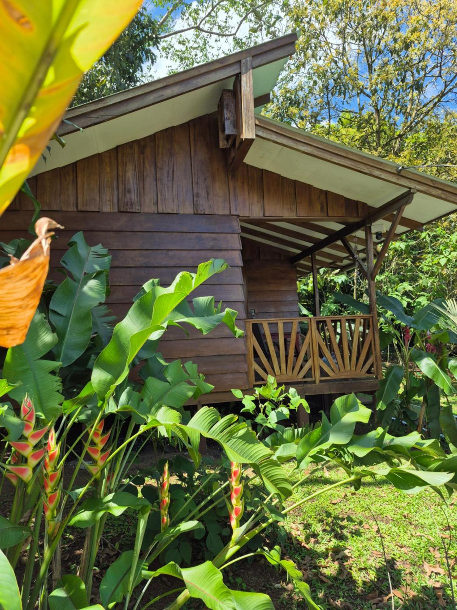 Centro Ananda Bed and Breakfast Guápiles Buitenkant foto